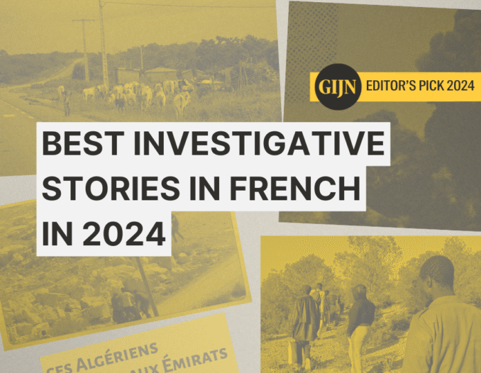 Best Investigative Stories in French In 2024